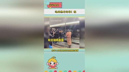 娱乐吃瓜直播真的假的,真假难辨的虚拟世界